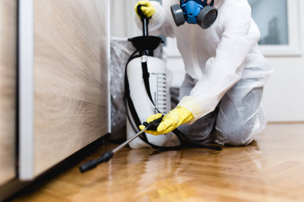 Best Pest Prevention Services  in Weigelstown, PA