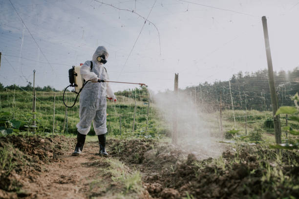 Best Commercial Pest Control Services  in Weigelstown, PA
