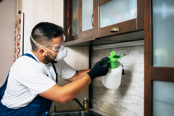 Best Flea Control Services  in Weigelstown, PA