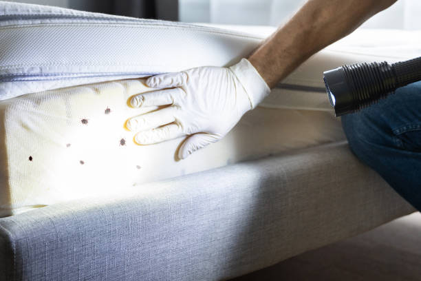 Best Wildlife Control Services  in Weigelstown, PA
