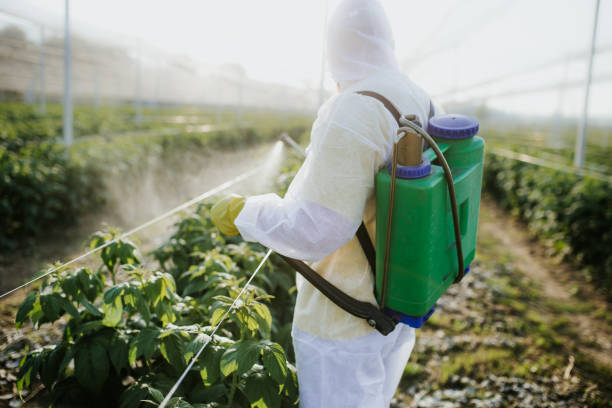 Best Wasp Removal Services  in Weigelstown, PA